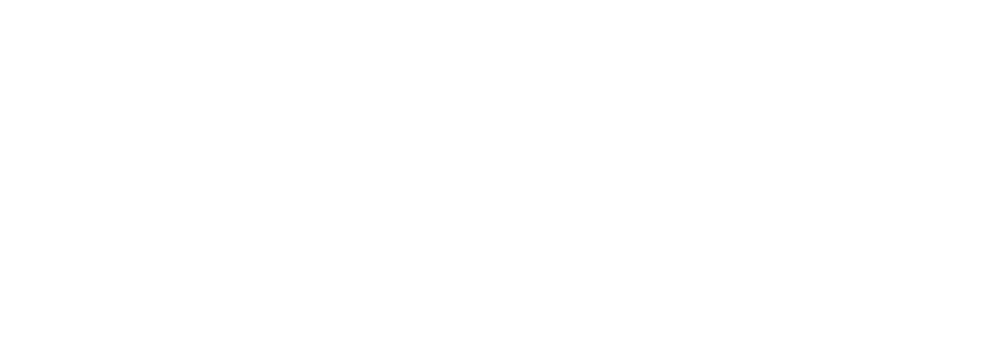 logo vive la baja